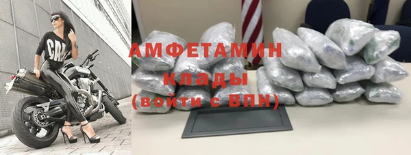 прущие грибы Бородино