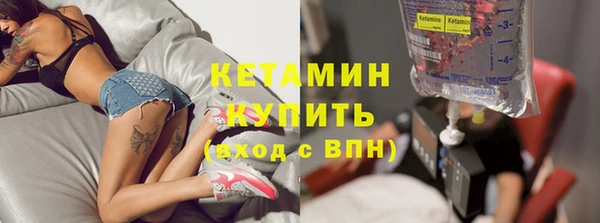 прущие грибы Бородино