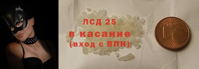 прущие грибы Бородино