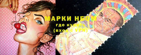 прущие грибы Бородино
