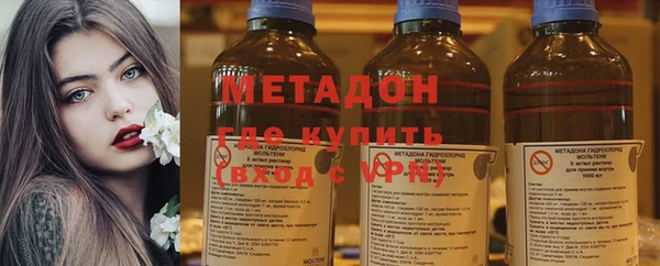 прущие грибы Бородино