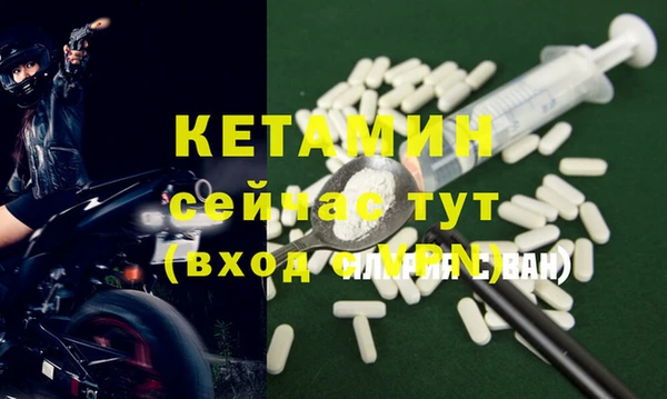прущие грибы Бородино